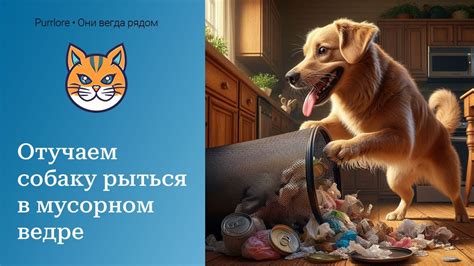 Простые способы и полезные советы