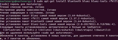 Процесс установки пакетов и настройки системы