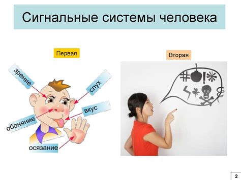 Работа сигнальных систем