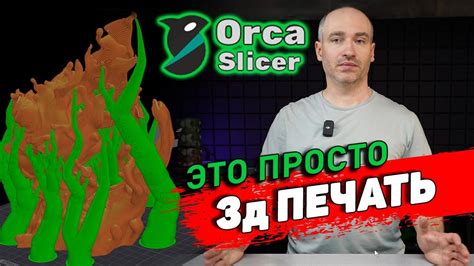 Работа с программой Xspider