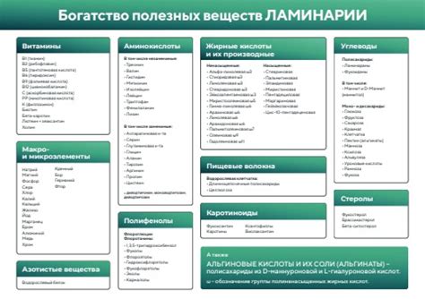 Раздел 2: Богатство полезных веществ