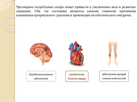 Раздел 3: Полезное влияние на организм