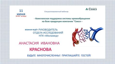 Раздел 4: Защита сердца и сосудов