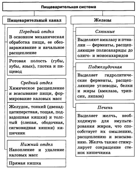 Раздел 5: Улучшение пищеварения