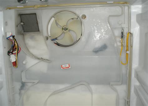 Размораживание морозильной камеры