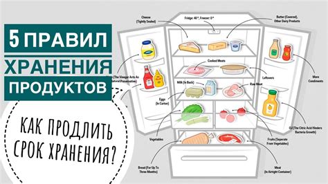 Расстановка продуктов внутри холодильника