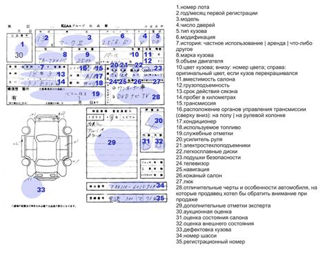 Расшифровка аукционного листа автомобиля