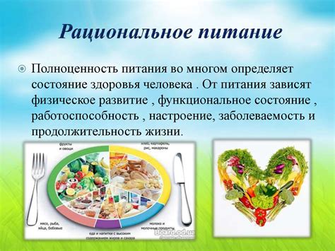 Рациональное питание и полноценный сон: основы здорового образа жизни