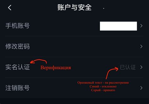 Регистрация и настройка аккаунта в приложении