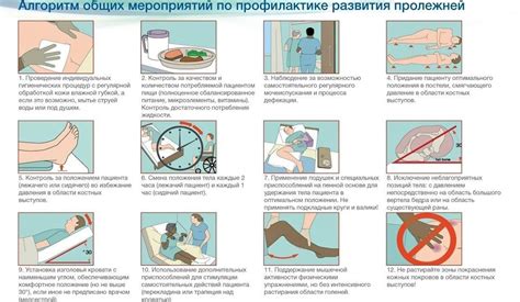 Регулярное обслуживание и профилактика: рекомендации по уходу