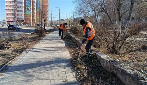 Регулярное удаление листвы и мусора