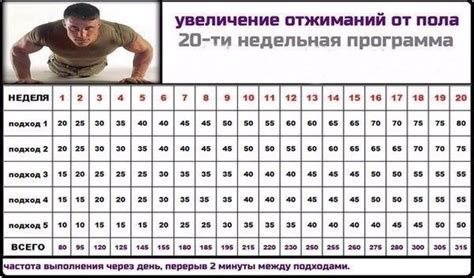 Регулярность тренировок и виды нагрузки