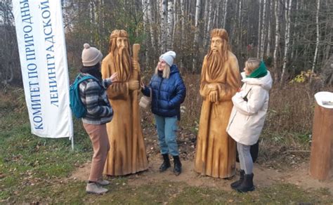 Рекомендации по уничтожению юкки