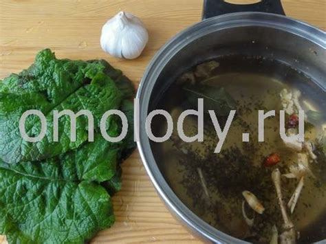 Рецепты приготовления жмыха лопуха