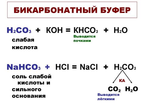 Роль бикарбонатного буфера