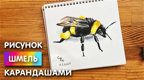 Сборка шмеля