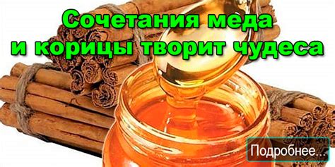 Секреты правильного сочетания меда и мумиё