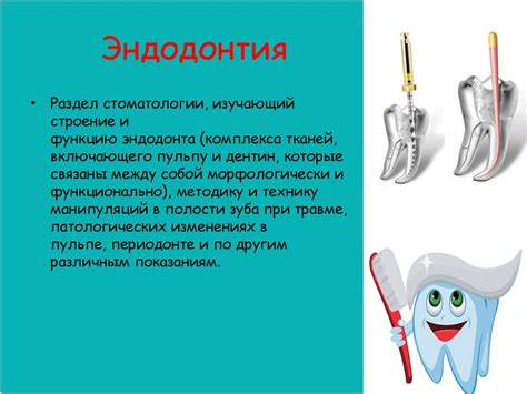 Соберите необходимый инструментарий и материалы.