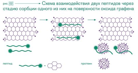 Советы для удаления оксида графена после ПЦР-теста