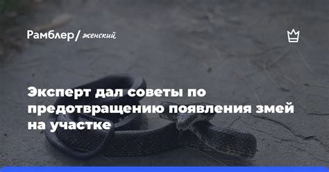 Советы по предотвращению появления пемзы