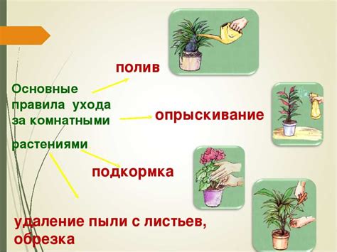 Советы по уходу за бушлатом