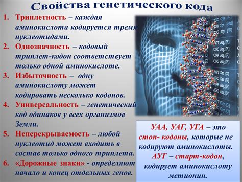Современные методы исследования генетического кода и их применение в определении национальности