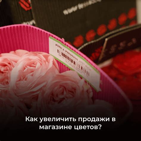 Способы сбора и удержания пыли