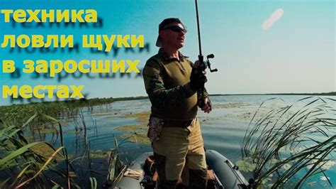 Техника ловли щуки на прикормленных местах