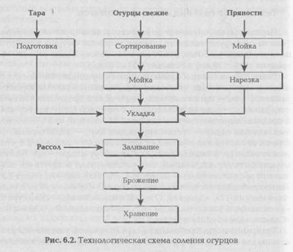 Технология процесса соления