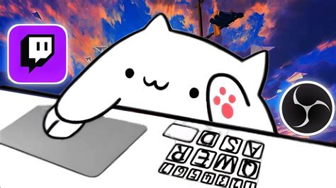 Трансляция с Bongo Cat на OBS