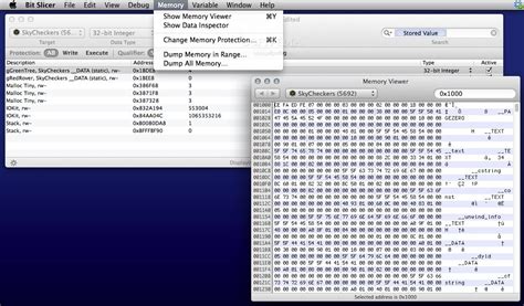 Удаление и выход из Bit slicer