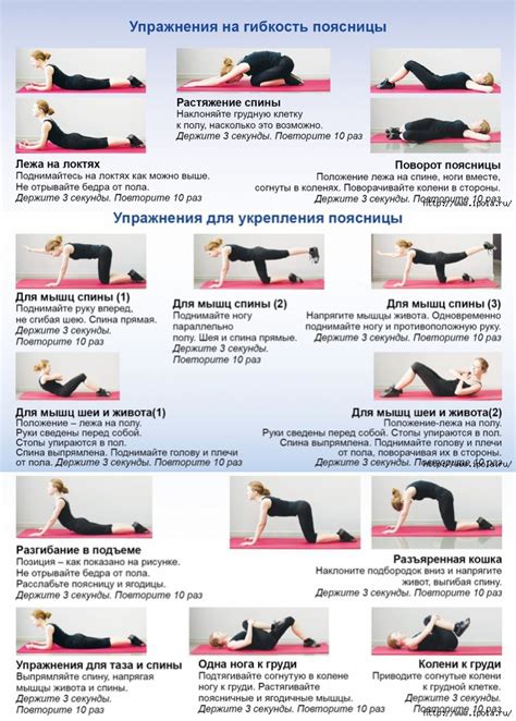 Укрепление поясничного отдела