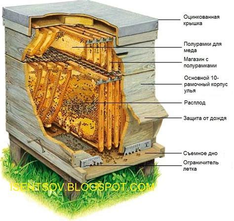 Улей и производство мёда