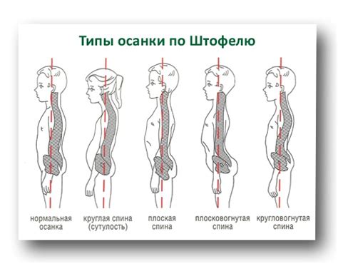 Улыбка и прямая осанка