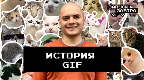 Установка гифки как стикера