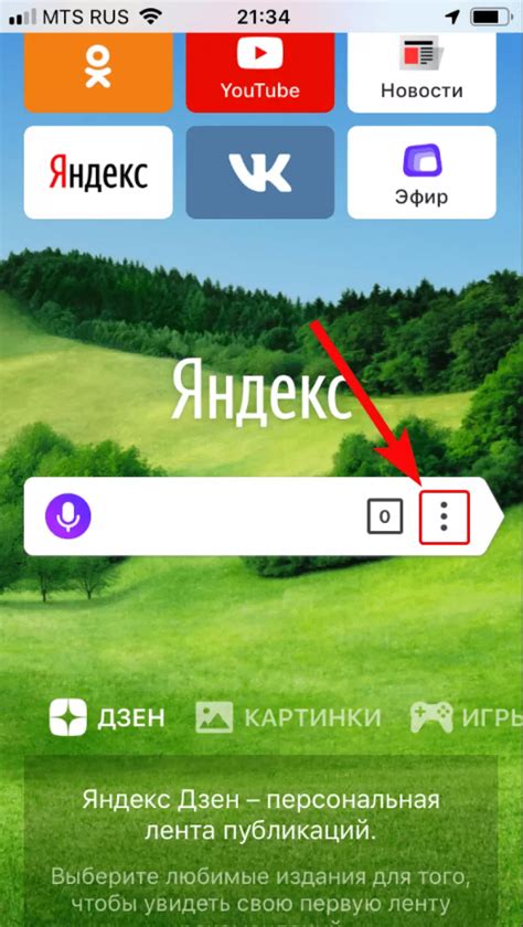 Установка и настройка Алисы