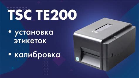 Установка и подключение Tsc te200 принтера