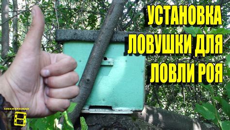 Установка трубы и крышки ловушки