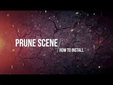 Установка Prune scene