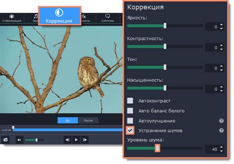 Устранение шумов и эхо