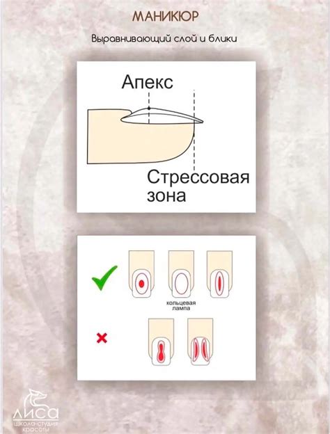 Формирование ногтевой пластины
