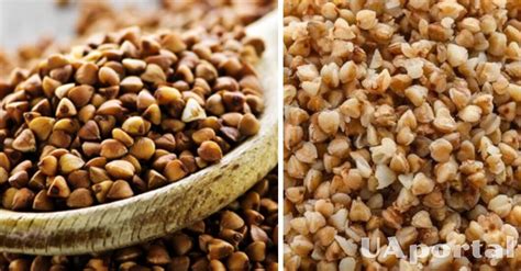 Хитрости варки гречки