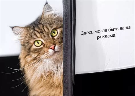 Что такое Дзен и как он работает
