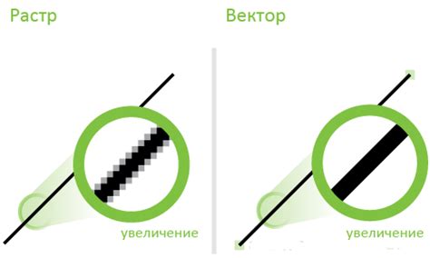 Что такое векторная графика и зачем она нужна
