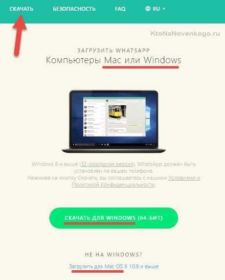 Шаги и настройки для начала работы