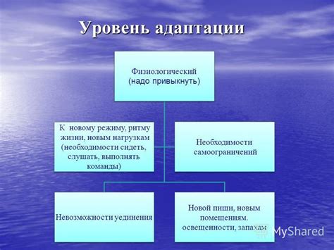 Шаг 1: Понимание необходимости адаптации
