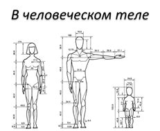 Шаг 2: Определение позы и пропорций