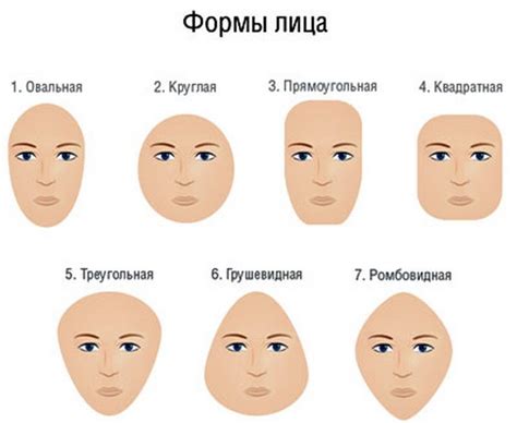 Шаг 2: Отмечаем основные черты лица Квинки Слоумо