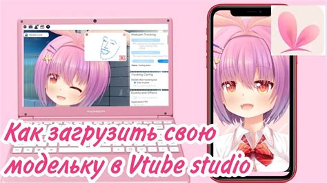 Шаг 4. Отображение моделей в Vtube Studio