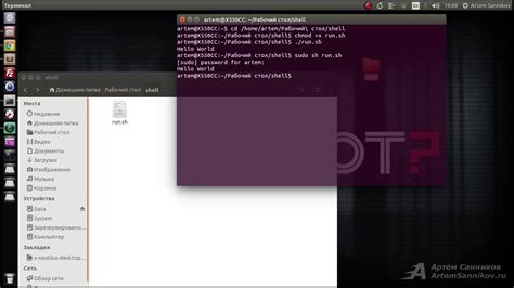 Шаг 6: Запустить скрипт в терминале Ubuntu